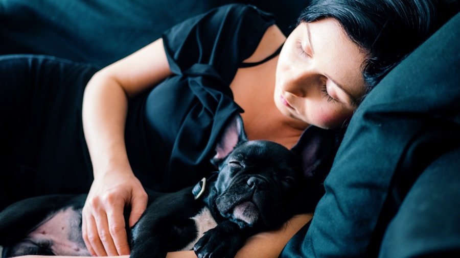 A woman is sleeping on a couch with a black French bulldog puppy resting on her lap.